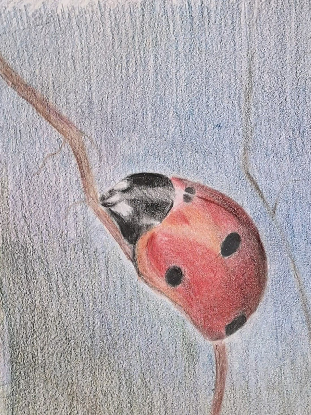 Leppäkerttu puuväreillä