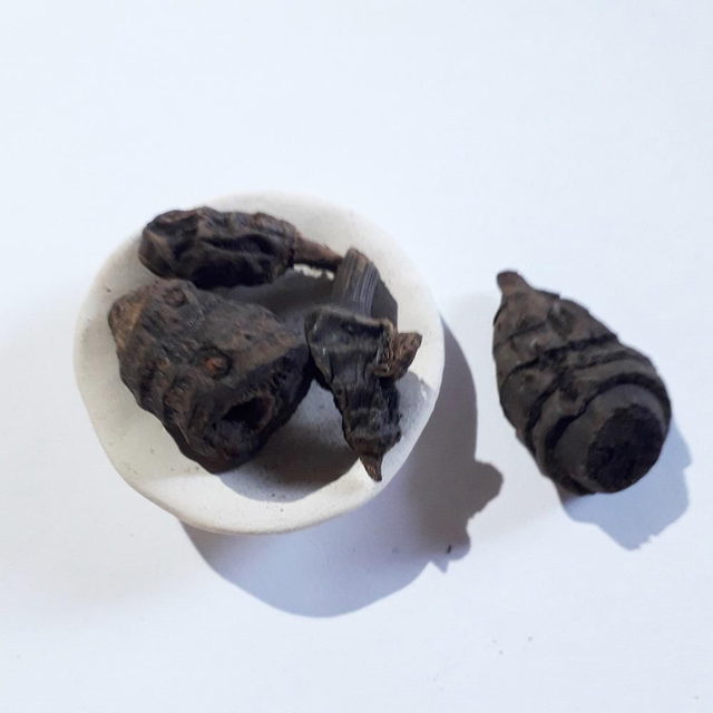 Root of Cyperus Articulatus PIRI PIRI GOWE 30 gram