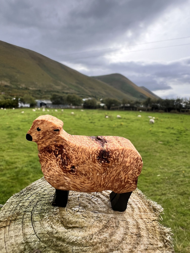 Spalted Sheep (Spalted Beech)