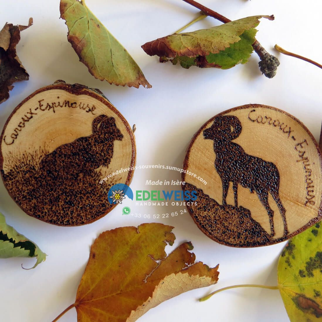 Caroux-Espinouse - Mouflons