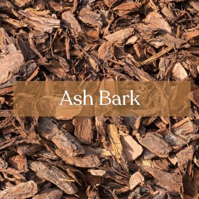 Dried Ash Bark - Protection, Prosperity &amp; Solar Magic | Esoteric Roots