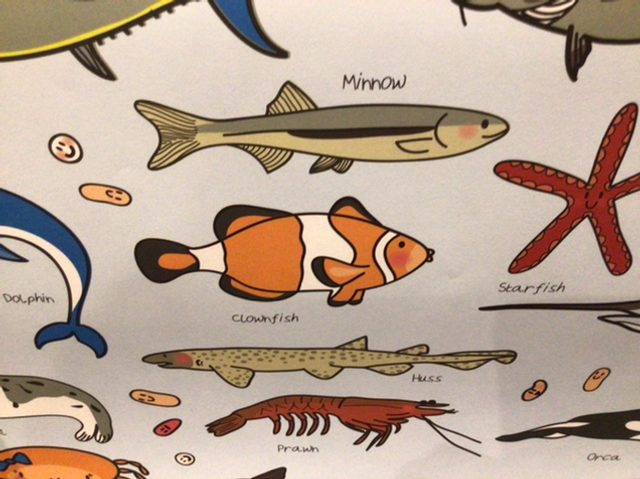 Gift Wrap Rewrapped Fish 