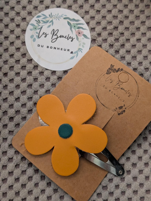 Barrette b030