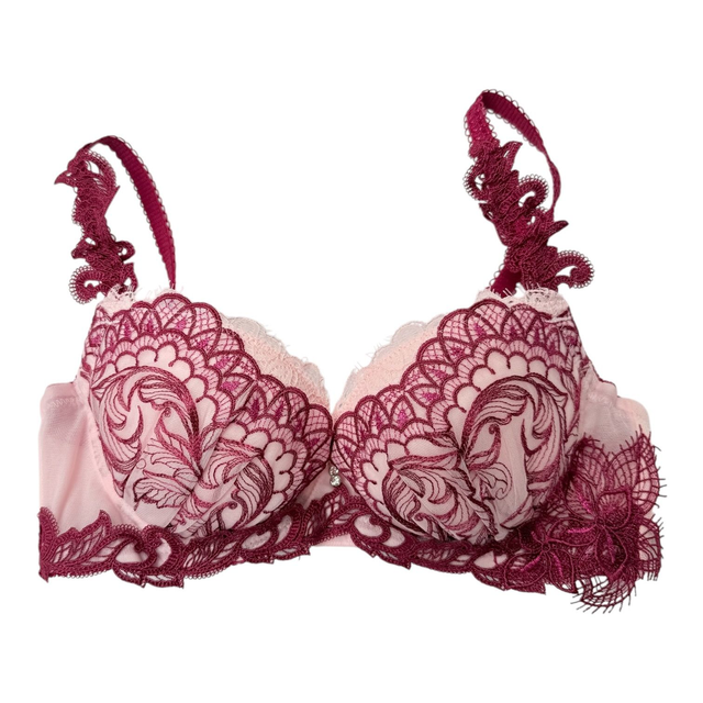 Light pink + burgundyl intricate embroidered Japanese Bra UK 30A