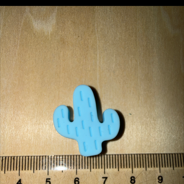 Cactus bleu 