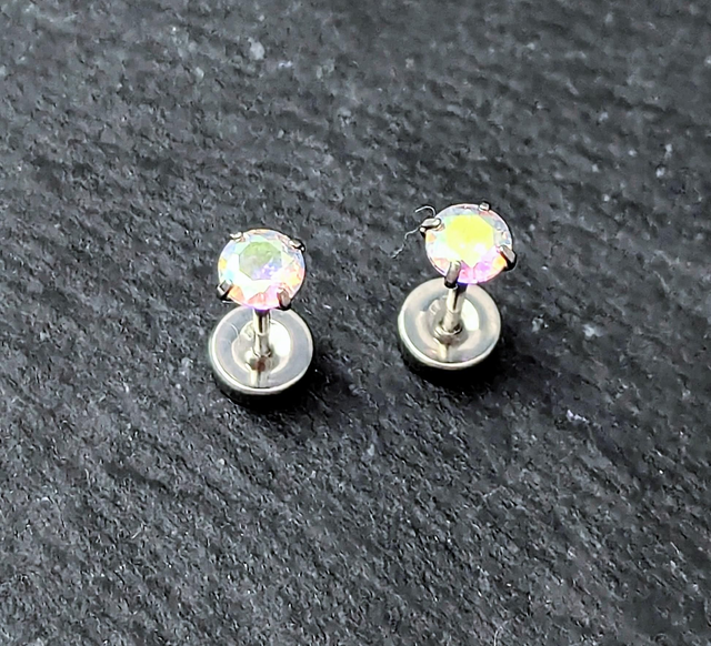 Stainless Steel Iridescent Stud Earrings 