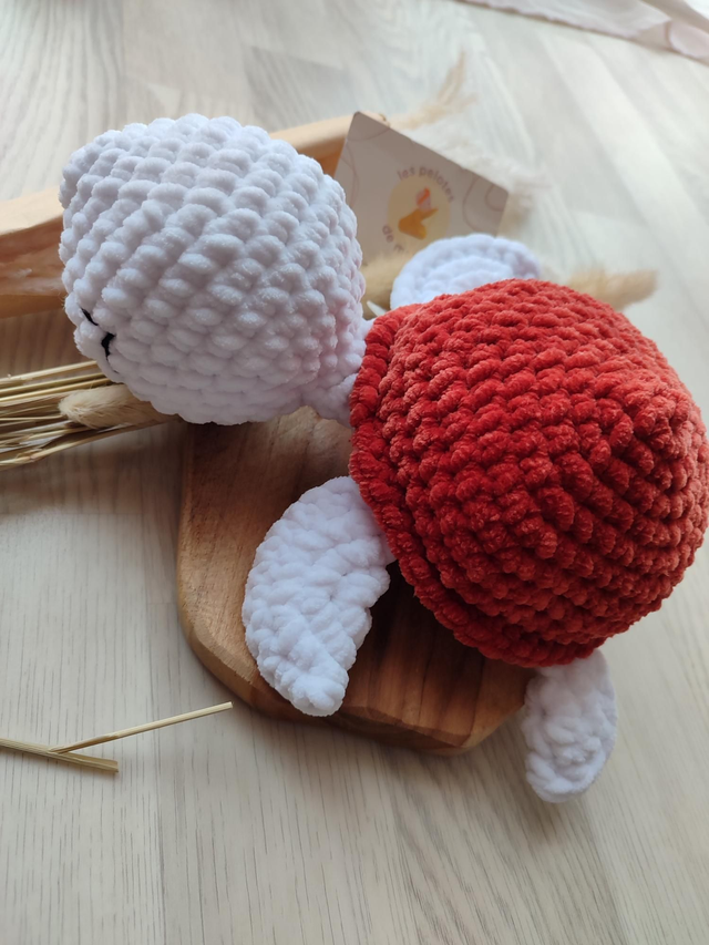 Ma tortue de naissance