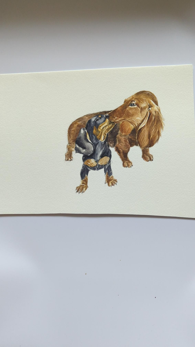 Aquarelle de chien