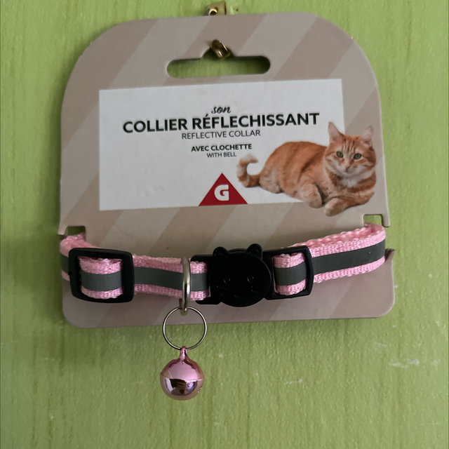 Collier, réfléchissant pour chat