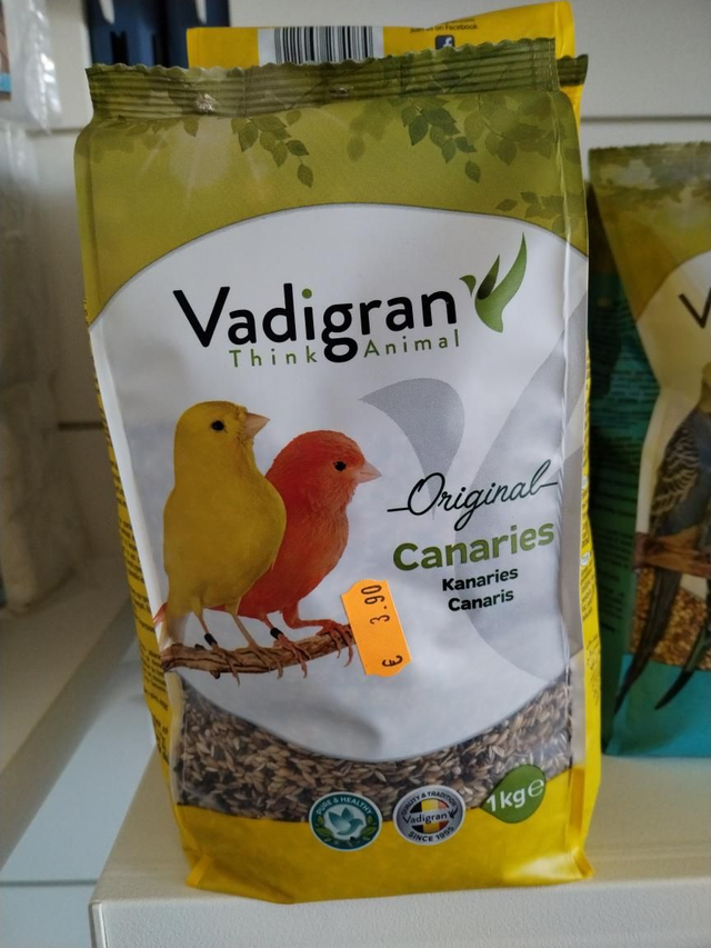 Vadigran Original Canaries