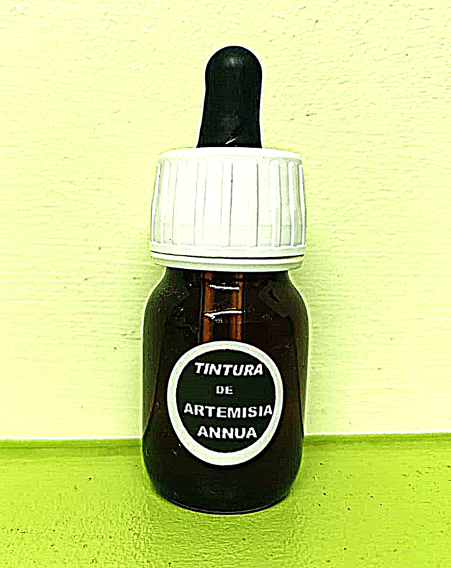 Tintura de Artemisia Annua ecológica