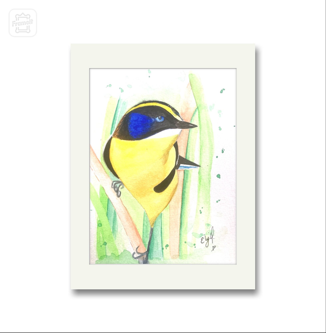 Lámina siete colores