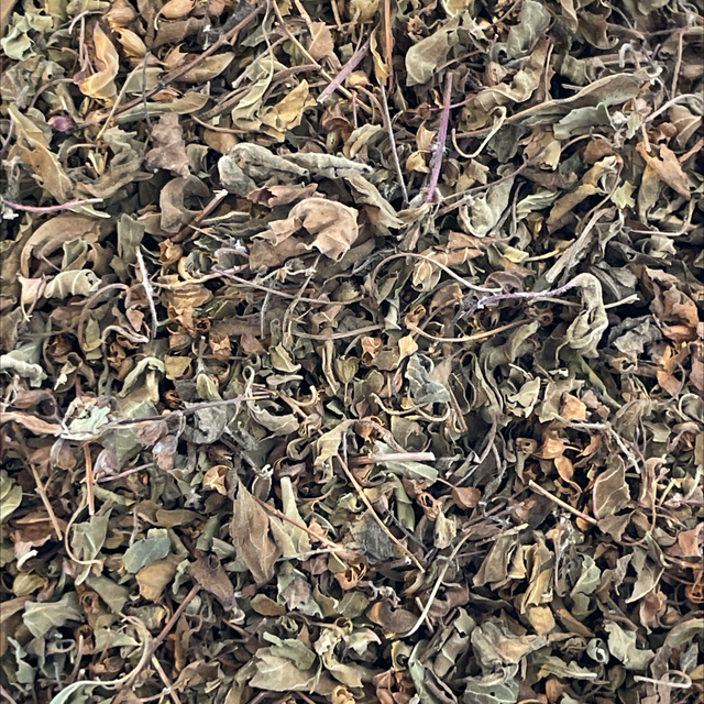 Tulsi (Heiliges Basilikum) Bio