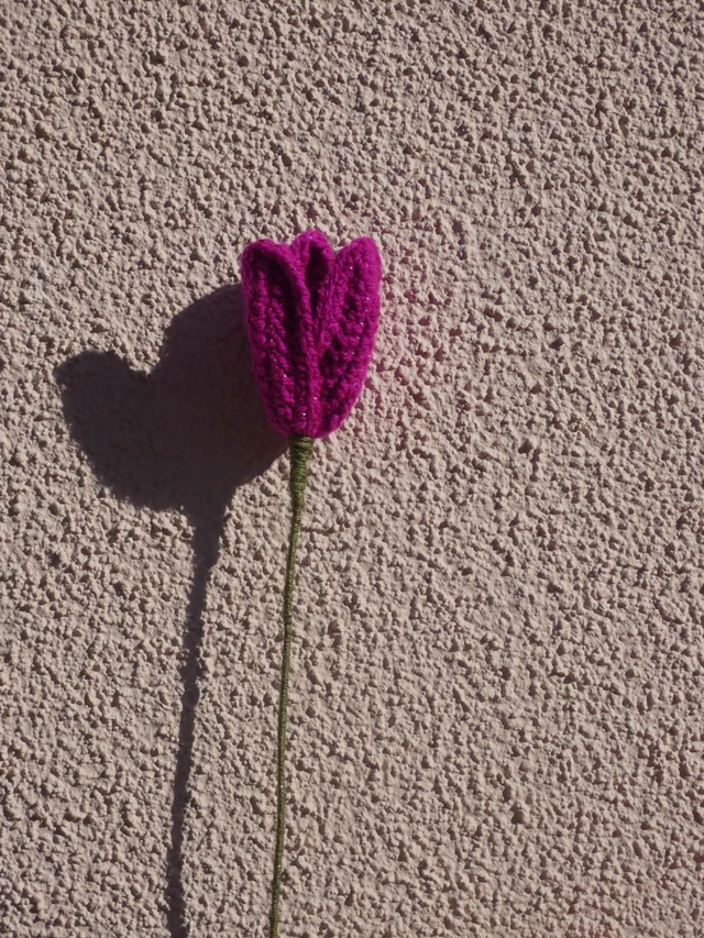 Tulipe rose pailleté 