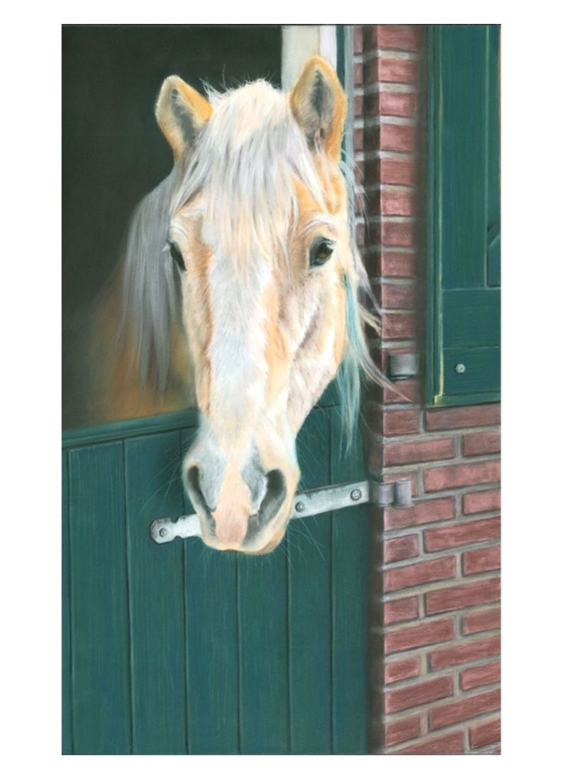 Print (small) 'SOFIE' (Olde Manegepeerd)  