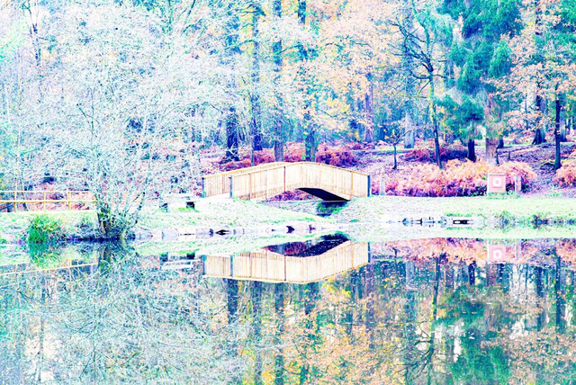 Mallards Pike Bridge