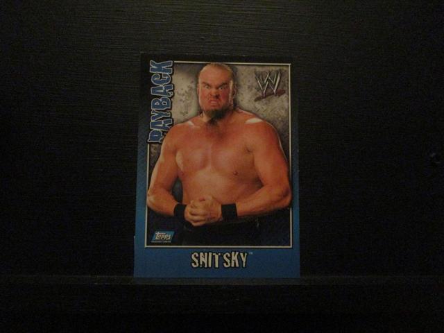 Snitsky - Payback Original Trading Card #48