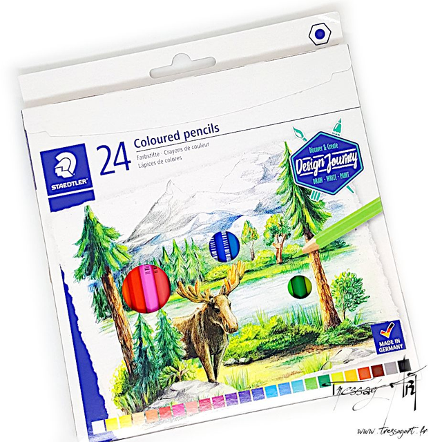 STAEDTLER - CRAYONS COULEUR PAR 24 - ST005