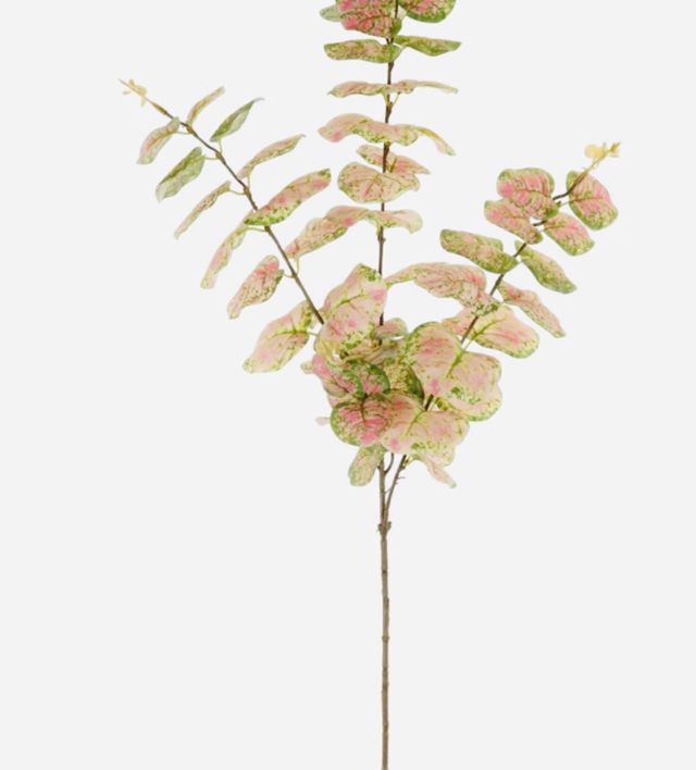 Printed Eucalyptus Spray Green / Pink