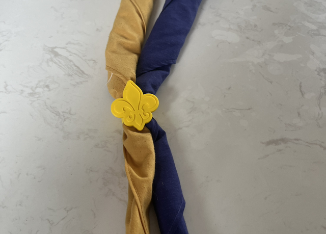 Scout Woggle V1 