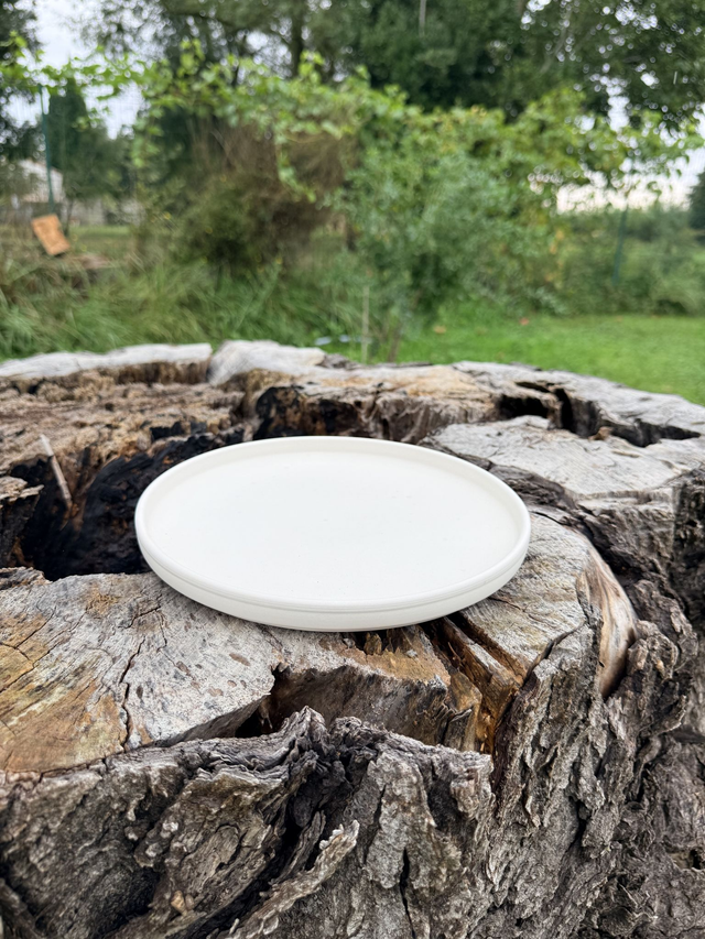 Assiette 26 cm avec rebord