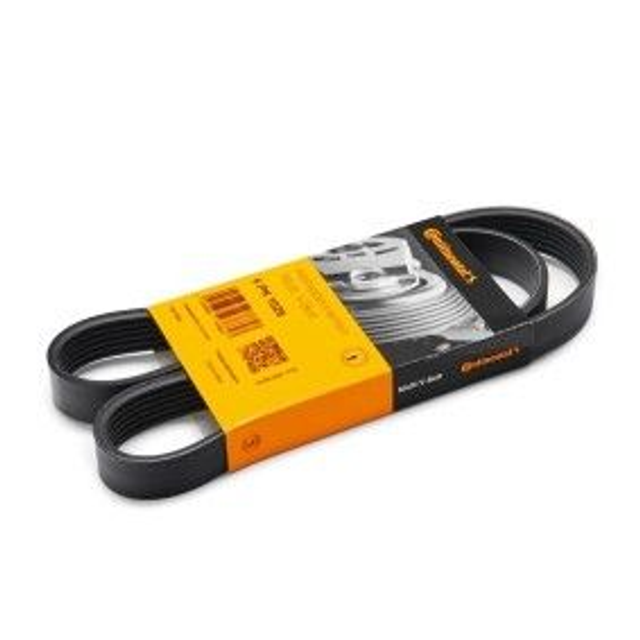 6PK1026 - Cinghia Poly-V CONTINENTAL