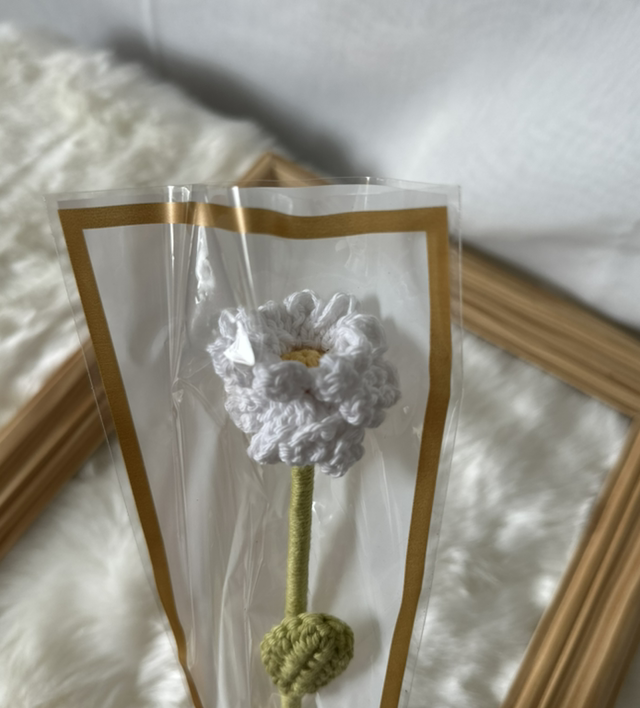Margarida 