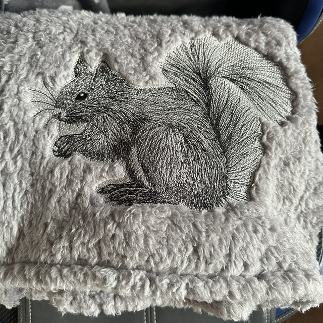 Blanket - Squirrel Sketch 