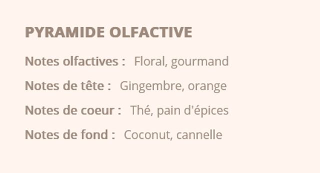 Fondant parfumé Noël " Thé et pain d'épices "