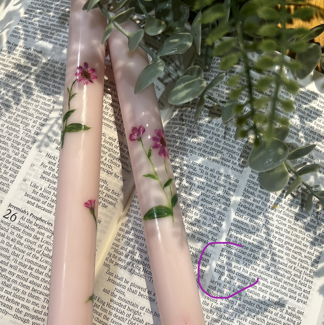 Hand painted autumn collection