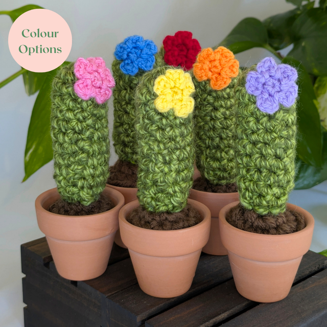 Flower Crochet Cactus