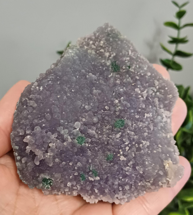 Green and Purple Grape Agate (205g)