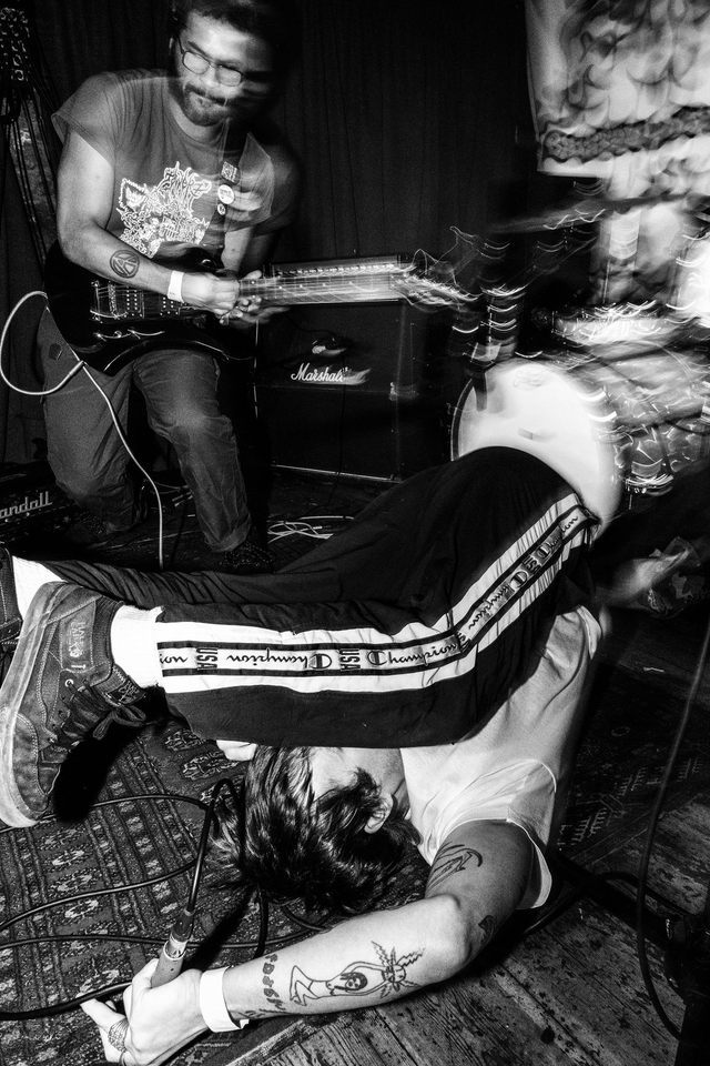 Pleasure at the Golden Lion