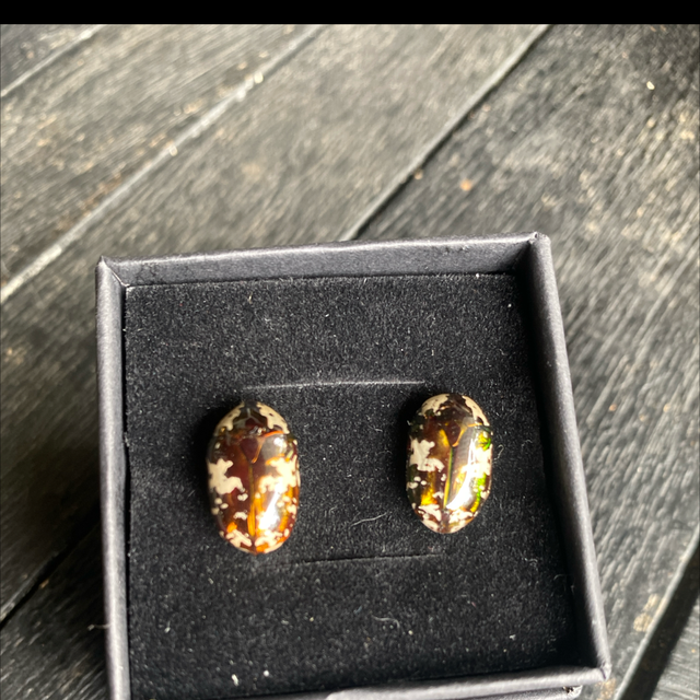 Puce à oreille scarabée bébète l’argent acier inoxydable or 