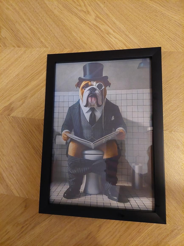 A4 koon bulldog pöntöllä, musta kehys 