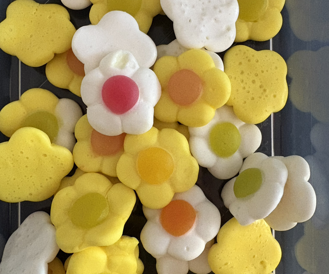 Marguerites JAKE (100g)