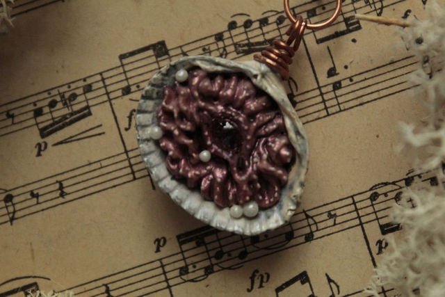 Coquillage Métamorphe- n°3