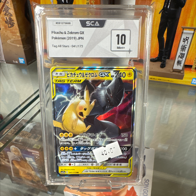 Pikachu zekrom tag team sca 10 