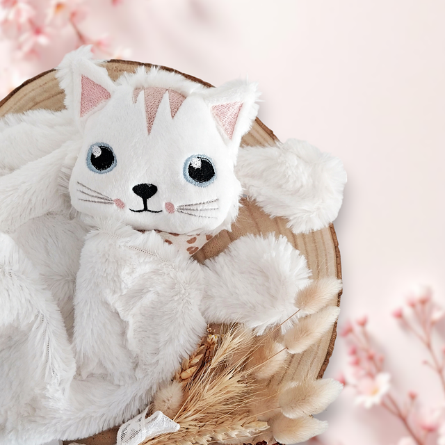 Chaton fourrure et double gaze