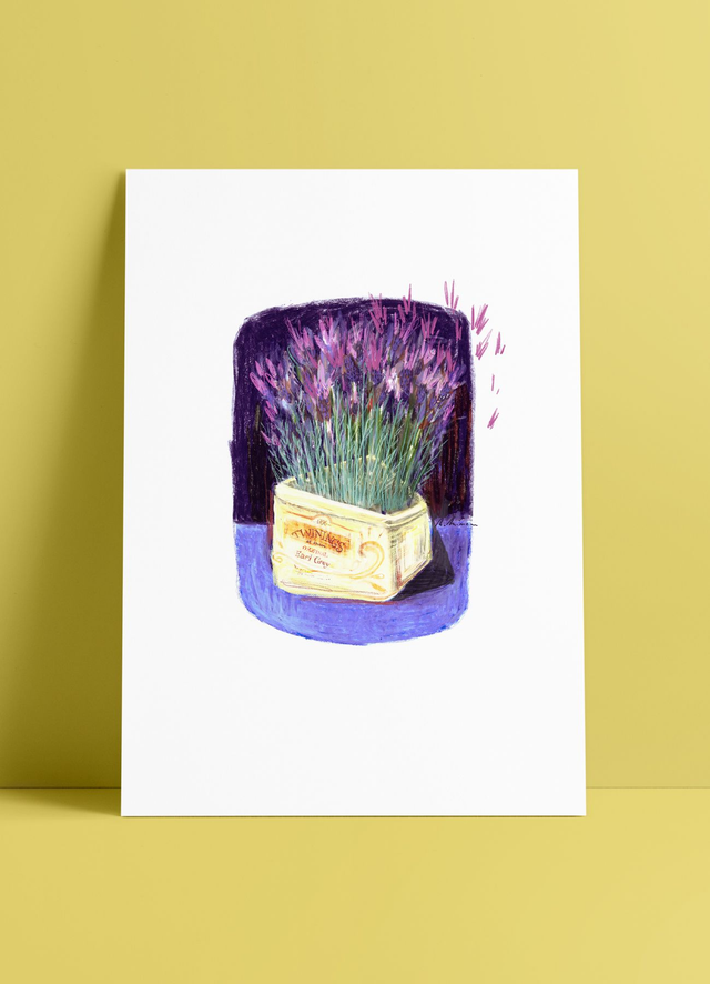 "La lavande papillon"