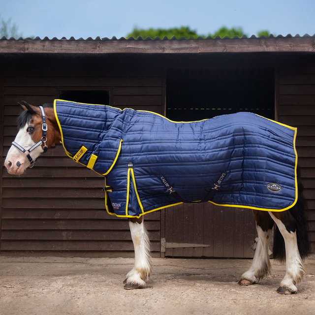 Gallop Trojan 200g Combo Stable Rug