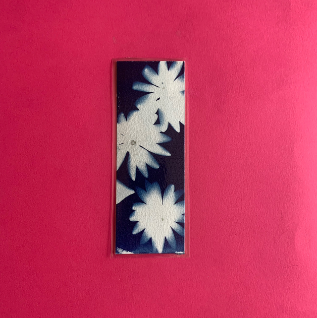 Marque page cyanotype végétal original sur papier épais et plastifié