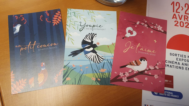 Ensemble de 3 cartes postales collector