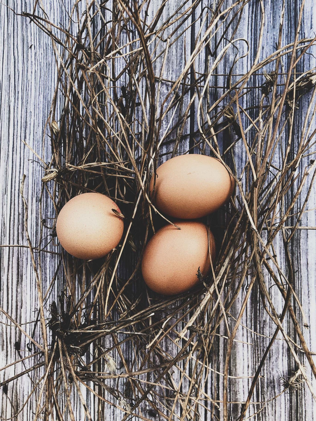 Les oeufs sur la paille