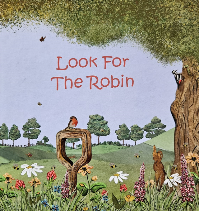 Look For The Robin (PAPERBACK)