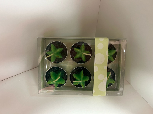 Set 6 candele cactus 
