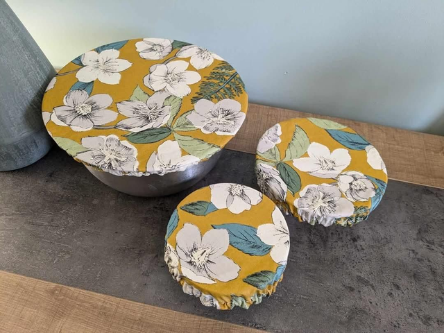 Lot charlottes à plat 