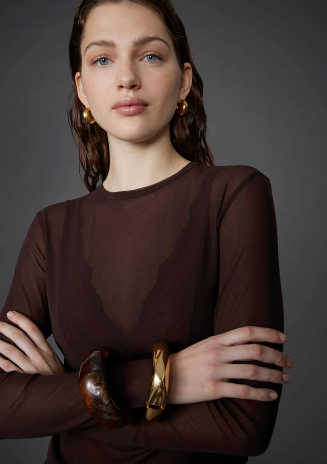 Chocolate Sheer Long Sleeve Top