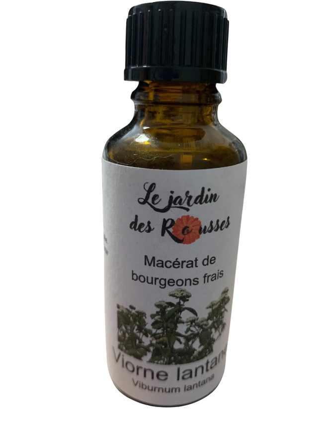 VIORNE LANTANE -  Macérât glycériné de bourgeons Flacon de 30 ml 