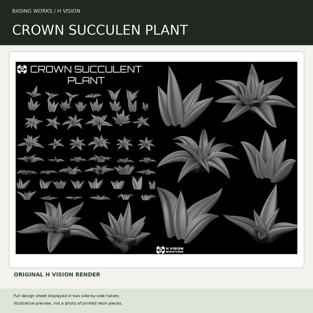 H Vision - Crown Succulent Plant